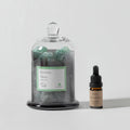 Sleeping Oasis Gemstone Diffuser & Tropical Bath Fragrance Oil
