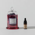 Purple Rain Gemstone Diffuser & I Sea You Fragrance Oil