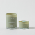 Tea House Candle Duo | Green Tea, Citrus & Amber