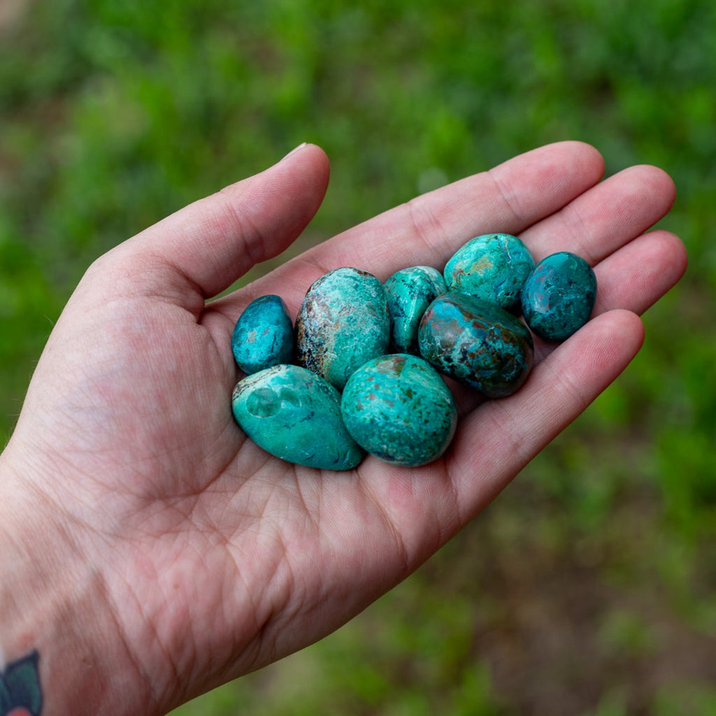 Tumbled Chrysocolla | 1 lb