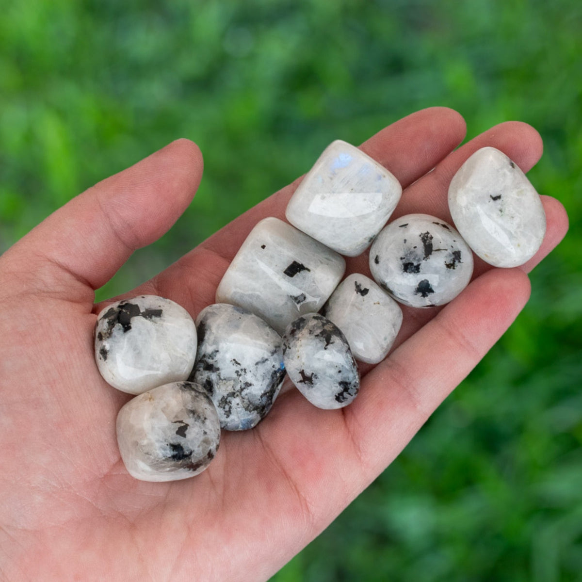 Tumbled Rainbow Moonstone | 1 lb
