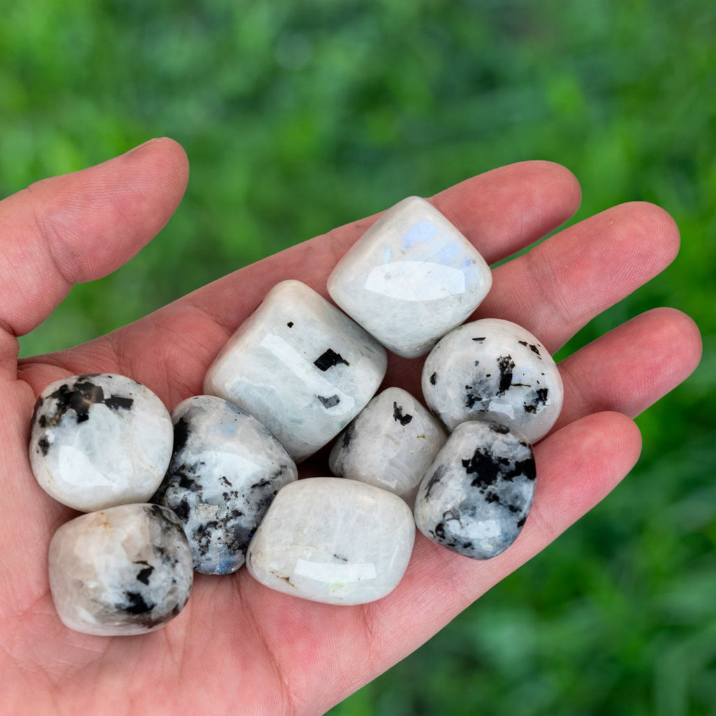 Tumbled Rainbow Moonstone | 1 lb