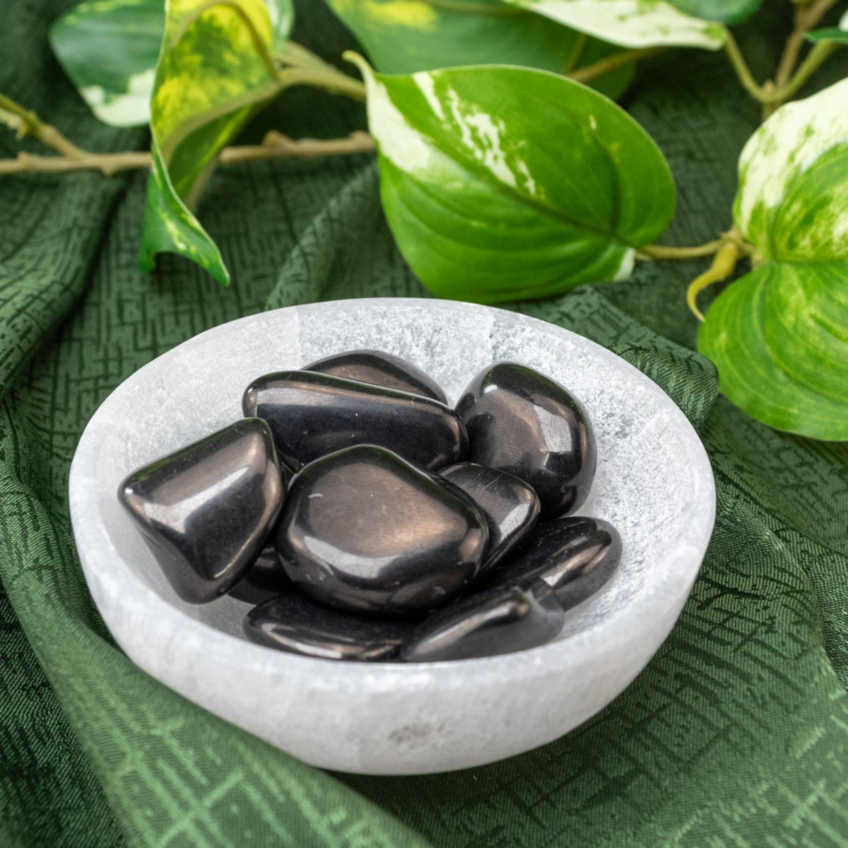 Tumbled Shungite | 1 lb