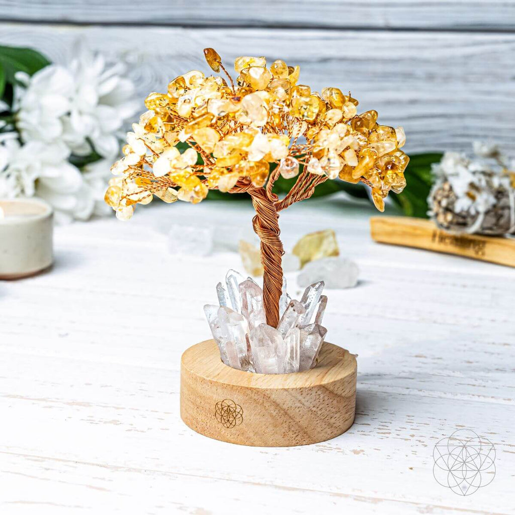 Golden Glow | Citrine & Clear Quartz Crystal Tree Lamp