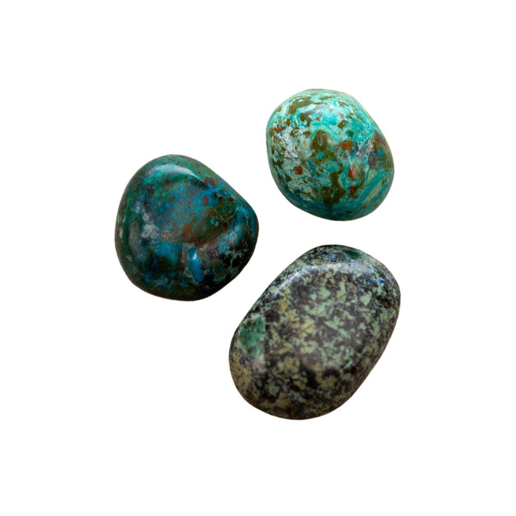 Tumbled Chrysocolla | 1 lb