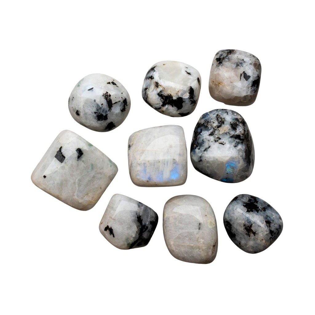 Tumbled Rainbow Moonstone | 1 lb